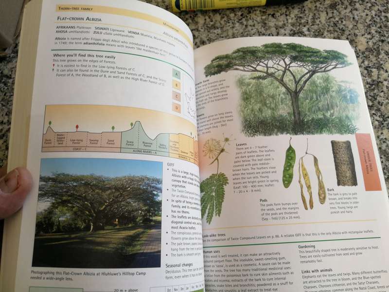 SAPPI TREE SPOTTING KWAZULU NATAL & EASTERN CAPE VAL THOMAS & RINA GRANT