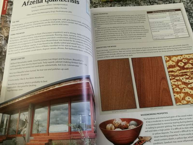 GUIDE TO THE PROPERTIES AND USES OF SOUTHERN AFRICAN WOOD STEPHANIE DYER  et al Timber trees