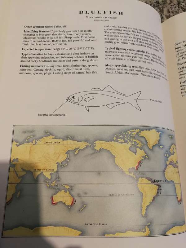 SALTWATER GAMEFISHING Offshore and Onshore PETER GOADBY  ( fishing incl. reference to Cape Town  )