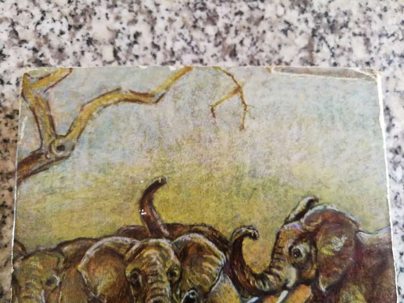 T V BULPIN THE IVORY TRAIL Second Edition 1967