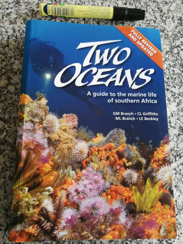 Fully Revised updated TWO OCEANS A GUIDE TO MARINE LIFE OF SOUTHERN AFRICA GM BRANCH  Seawater Fish