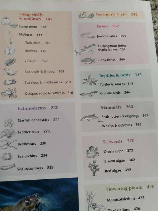 Fully Revised updated TWO OCEANS A GUIDE TO MARINE LIFE OF SOUTHERN AFRICA GM BRANCH  Seawater Fish