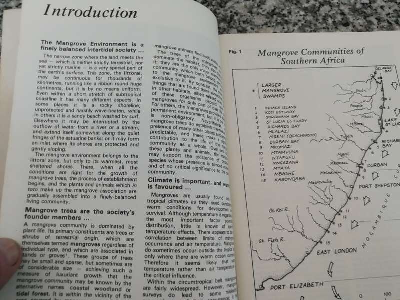 IN THE MANGROVES OF SOUTHERN AFRICA A Wildlife Handbook