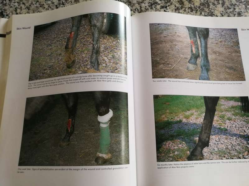 ALOE VERA NATURES GIFT By a Veterinary Surgeon DAVID URCH IN VET PRACTICE  Agriculture farming