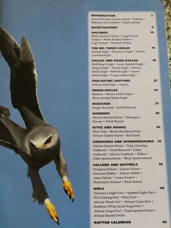 PRIME ORIGINS GUIDE THE KILLER BIRDS OF KRUGER  BRETT HILTON-BARBER  ( Birds of Prey Eagles )