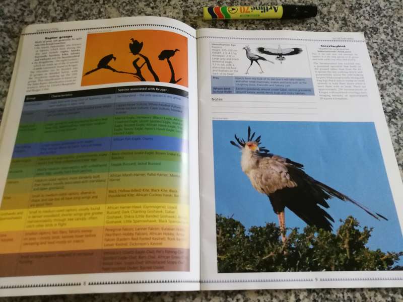 PRIME ORIGINS GUIDE THE KILLER BIRDS OF KRUGER  BRETT HILTON-BARBER  ( Birds of Prey Eagles )