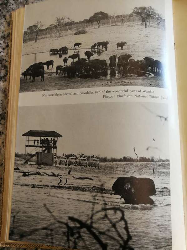 WANKIE The Story of a Great Game Reserve by TED DAVIDSON 1967 Wildlife Rhodesia Zimbabwe