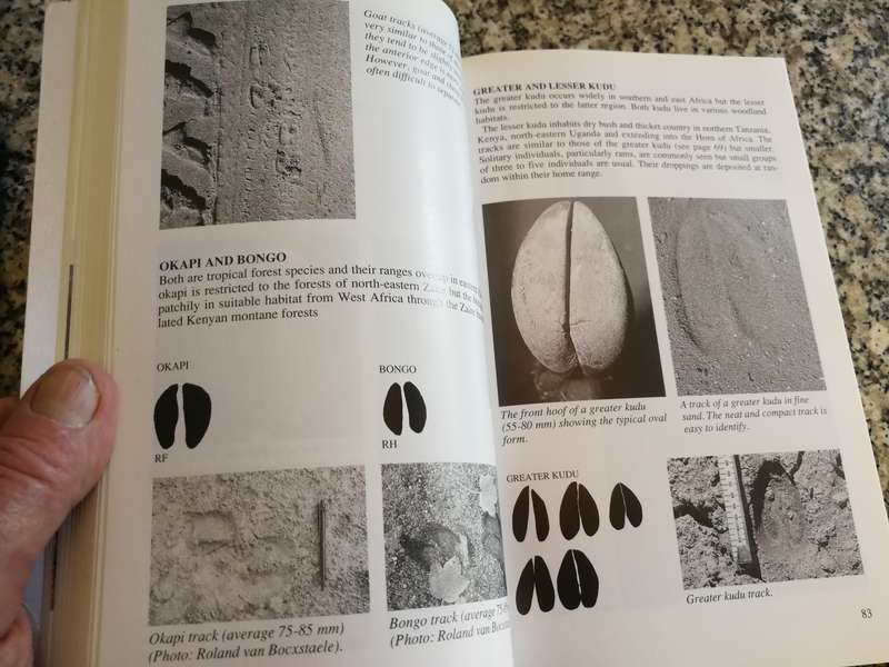 A FIELD GUIDE TO THE TRACKS & SIGNS of SOUTHERN & EAST AFRICAN WILDLIFE C & T STUART tracking spoor