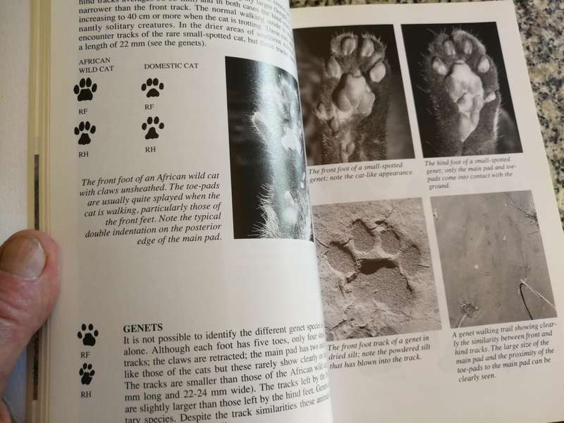 A FIELD GUIDE TO THE TRACKS & SIGNS of SOUTHERN & EAST AFRICAN WILDLIFE C & T STUART tracking spoor