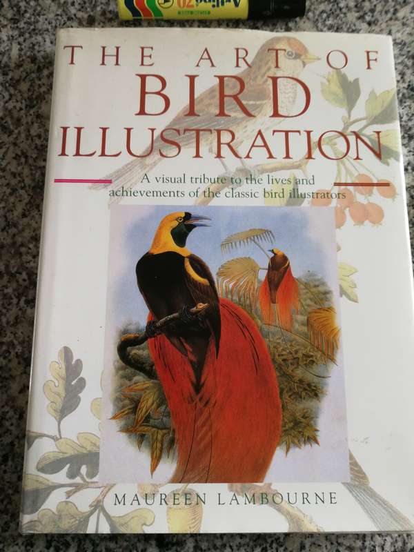THE ART OF BIRD ILLUSTRATION Visual Tribute Achievements Classic Bird Illustrators MAUREEN LAMBOURNE