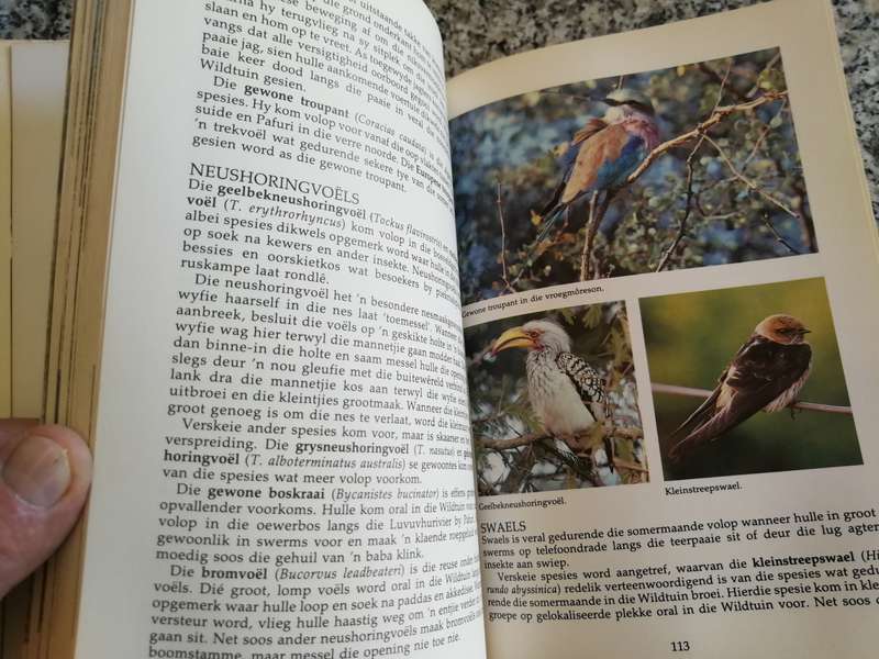 NASIONALE KRUGER WILDTUIN 'n Besoekers Gids LEO BRAACK Kruger National Park Game wildlife Afrikaans