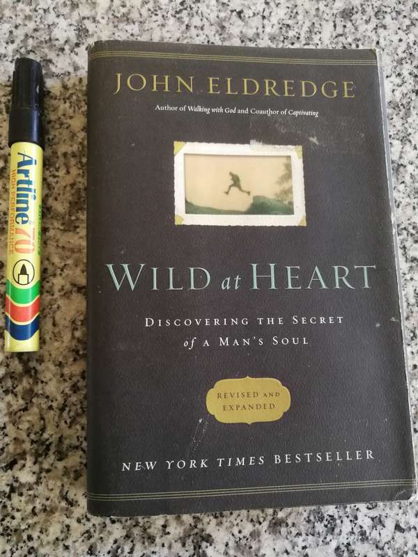 WILD AT HEART Discovering the Secret to a Man's Soul JOHN ELDREDGE