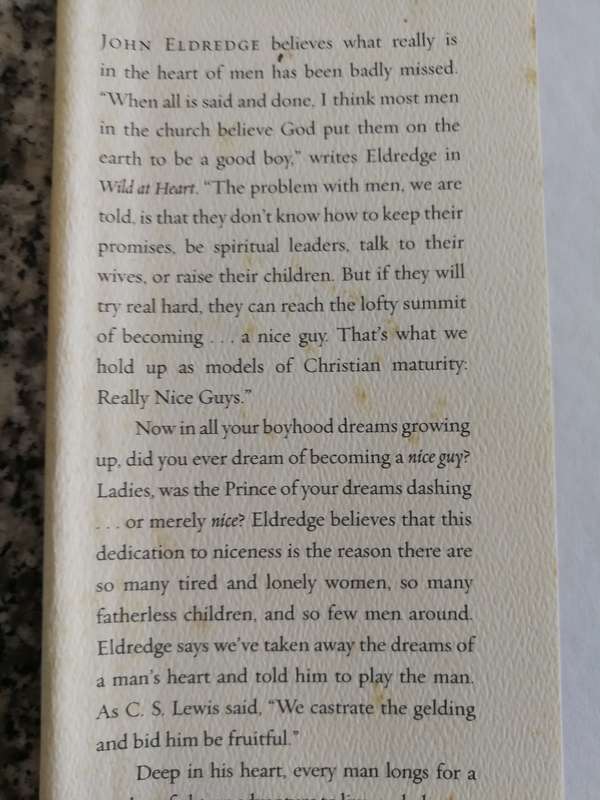 WILD AT HEART Discovering the Secret to a Man's Soul JOHN ELDREDGE