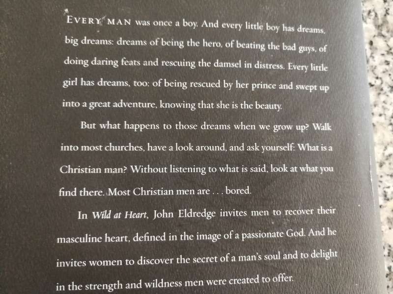 WILD AT HEART Discovering the Secret to a Man's Soul JOHN ELDREDGE