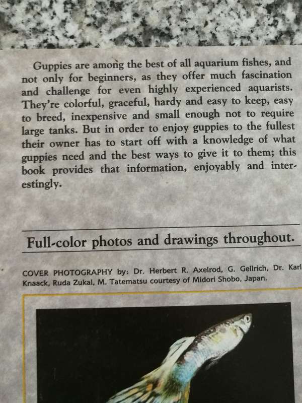 A Step by Step Book about GUPPIES JACK C HARRIS   (  tropical fish freshwater aquarium )