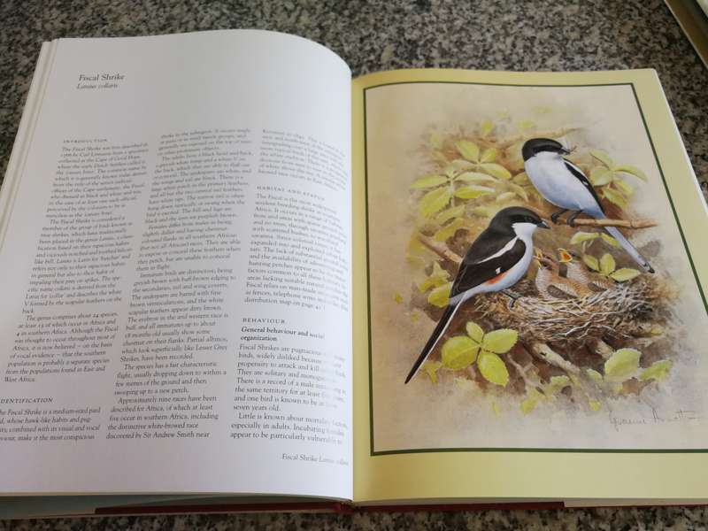SHRIKES OF SOUTHERN AFRICA TONY HARRIS GRAEME ARNOTT in a protective slipcase birds birding