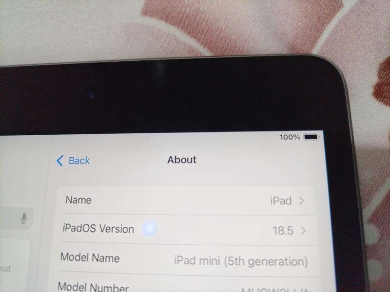 IPad Mini 5th Gen  64GB Wifi