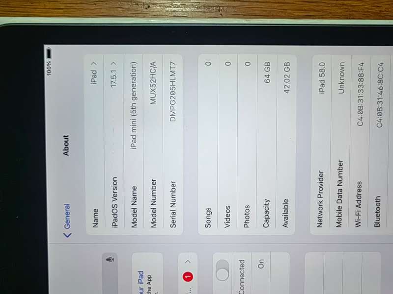 IPad Mini 5th Gen  64gig Wifi In Box