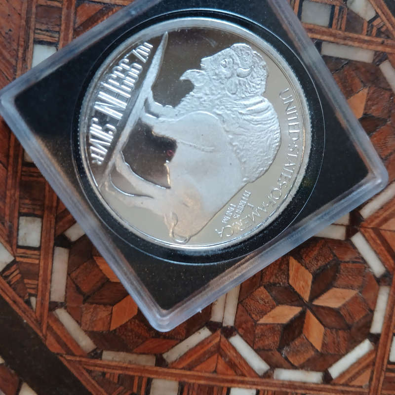 8 x 1 oz silver rounds