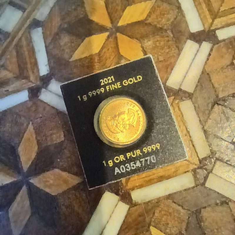 Gold Maplegram coin