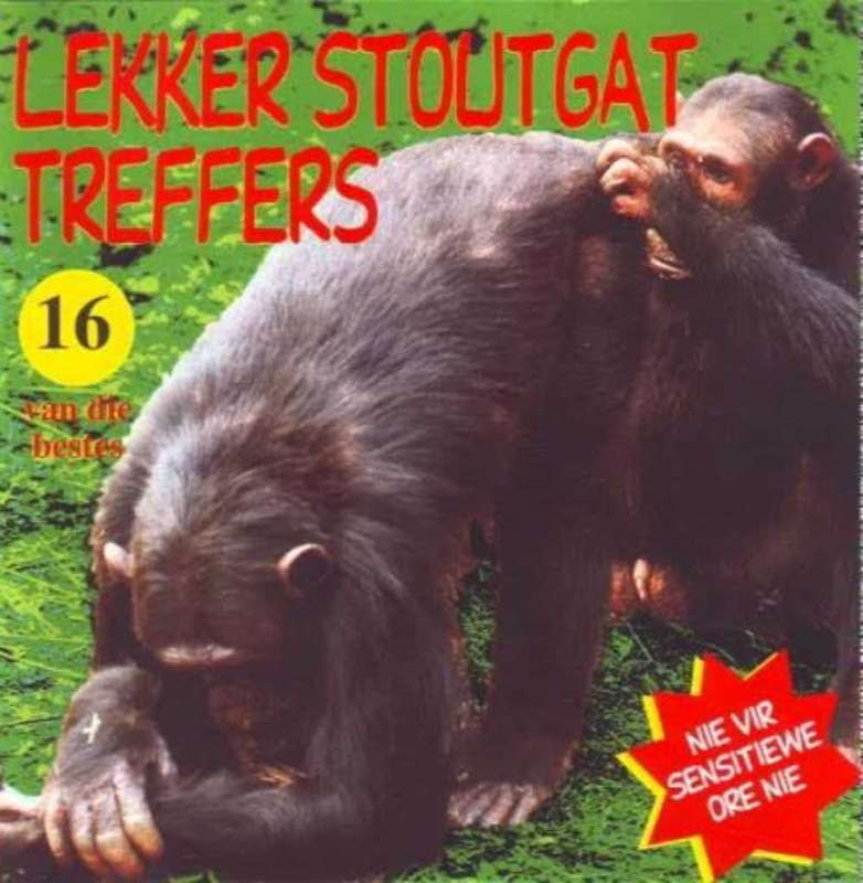 Stoutgat Treffers