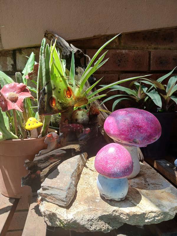 Hand-Cast & Painted Freckled Mushroom Garden Statue Set  Whimsical Outdoor Decor