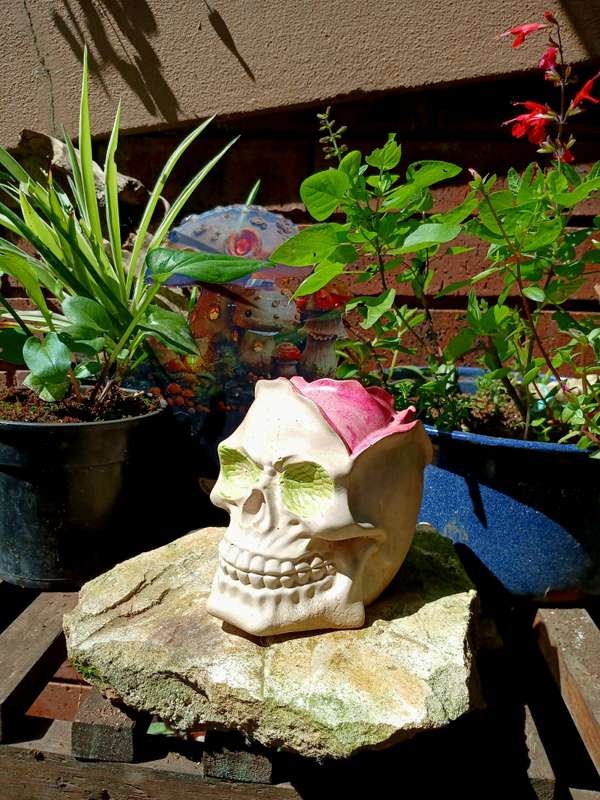 Hand-Cast Skull Planter with Rose  22cm Gothic Flowerpot for Home & Garden
