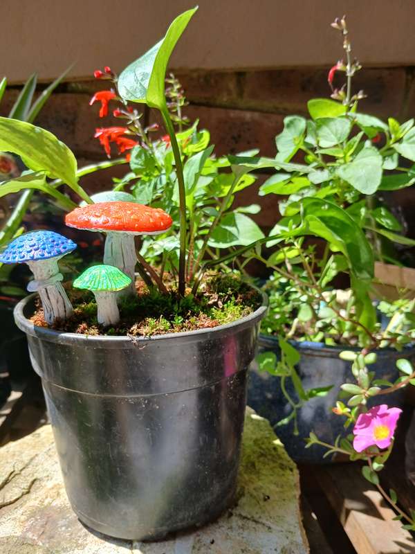 Handmade Mushroom Set  Fairy Garden & Potted Plant Decor