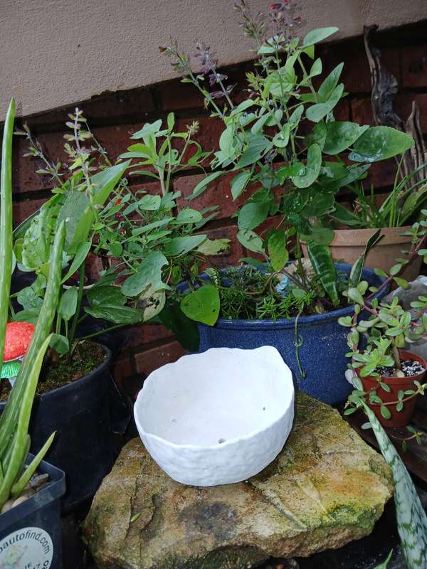 Handmade Textured White Bowl  13x5cm Decorative Concrete Planter
