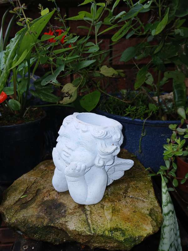 Concrete Angel Planter