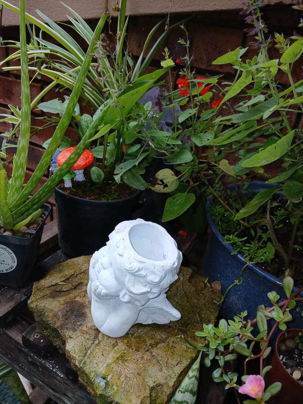 Concrete Angel Planter