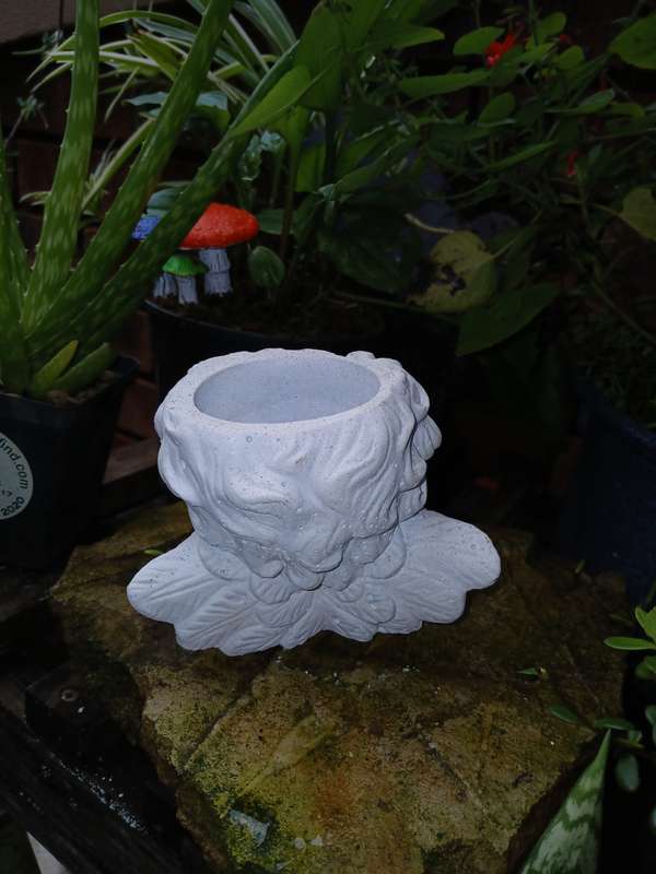 Concrete Angel Planter