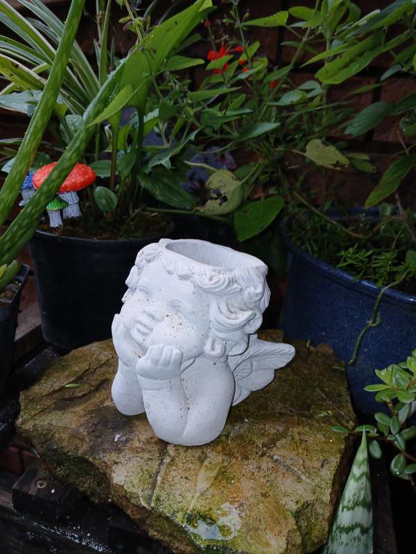 Concrete Angel Planter