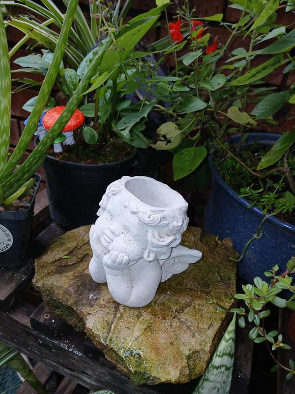 Concrete Angel Planter