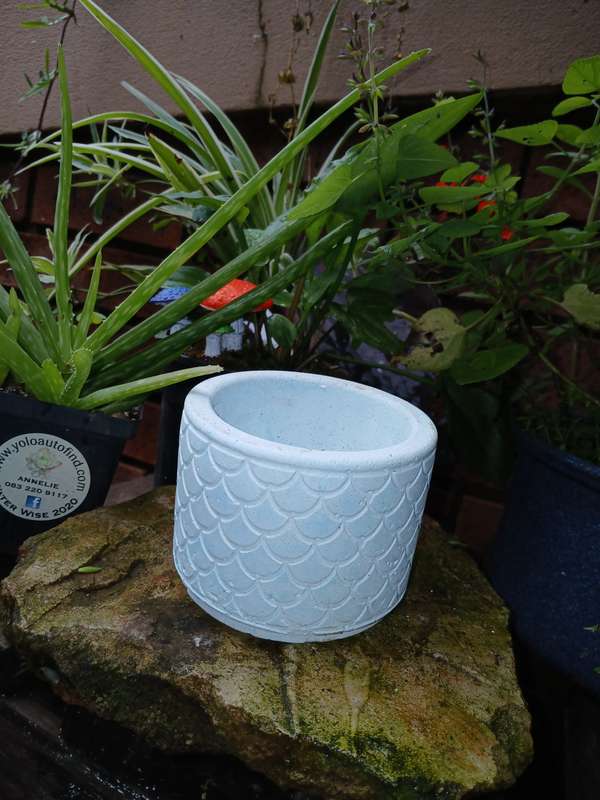 Handmade Scalloped Concrete Planter  11x8cm Decorative Pot for Succulents & Indoor Plants