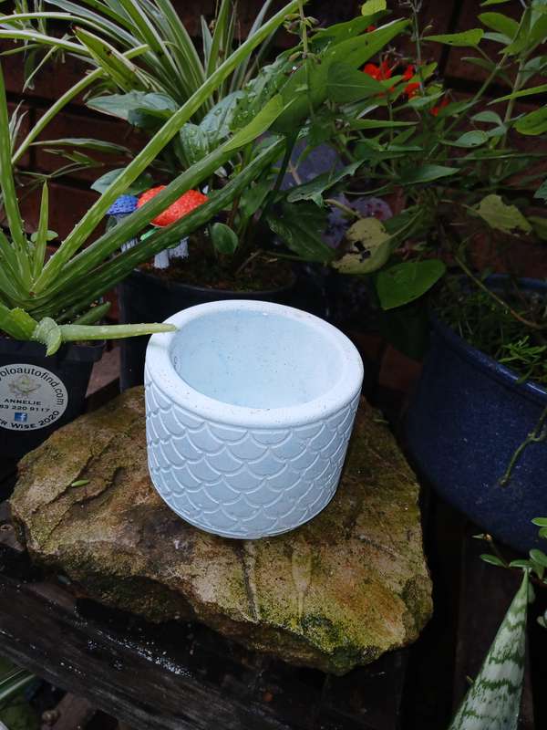 Handmade Scalloped Concrete Planter  11x8cm Decorative Pot for Succulents & Indoor Plants