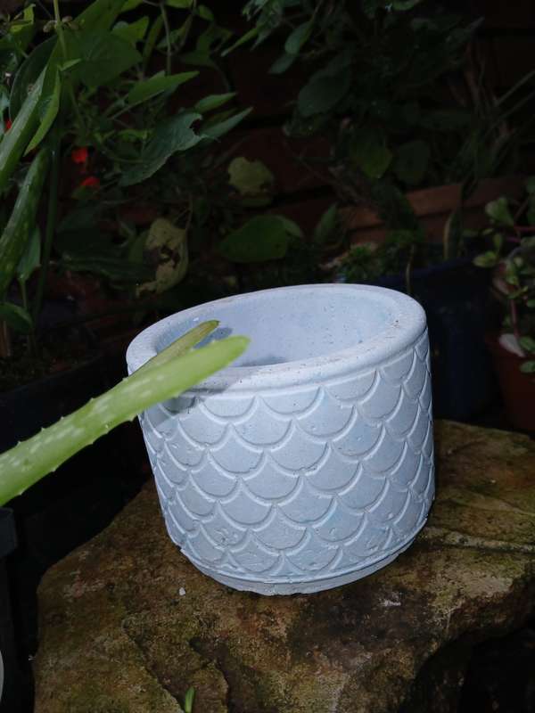 Handmade Scalloped Concrete Planter  11x8cm Decorative Pot for Succulents & Indoor Plants