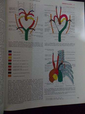 Gray's Anatomy 35th Edition