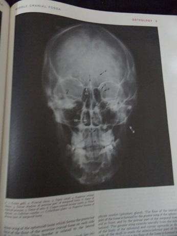 Gray's Anatomy 35th Edition