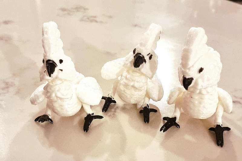 3d Baby Cockatoos