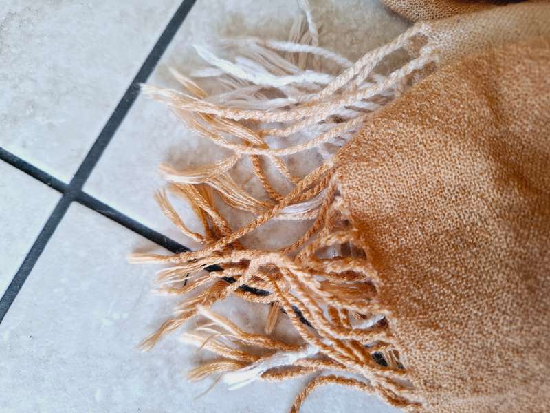Pashmina Scarf