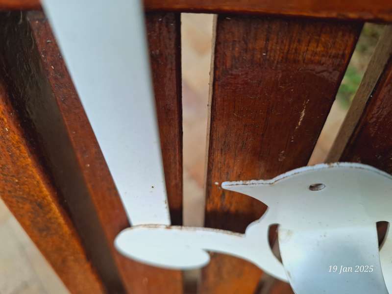 Over the door hook - birds