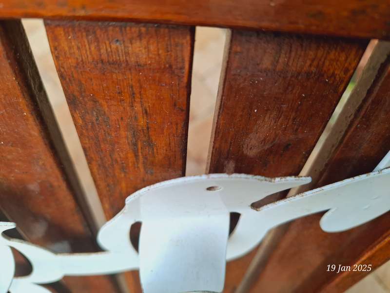 Over the door hook - birds