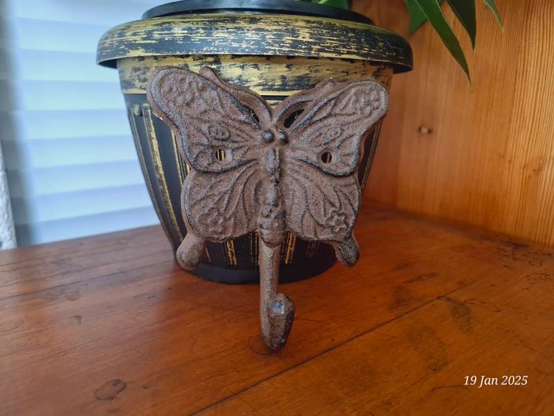 Cast Iron butterfly wall hook