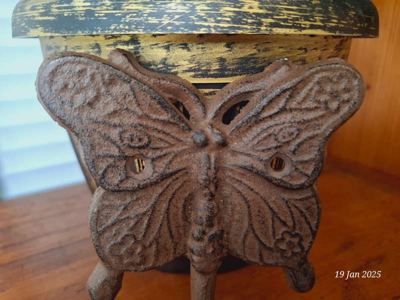 Cast Iron butterfly wall hook