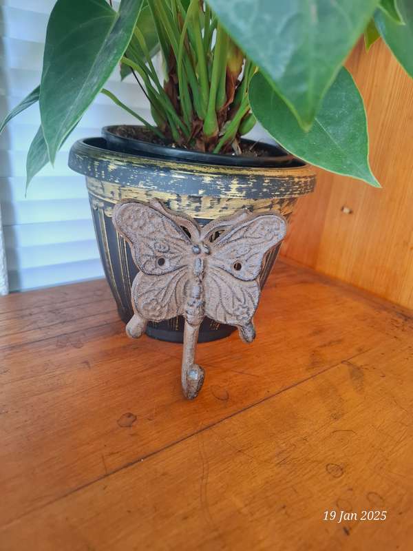 Cast Iron butterfly wall hook