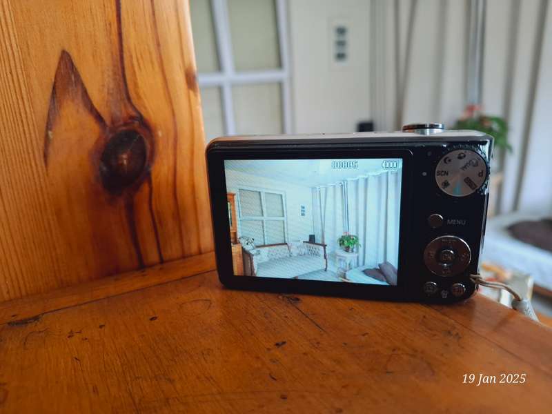 Samsung PL150 digital camera