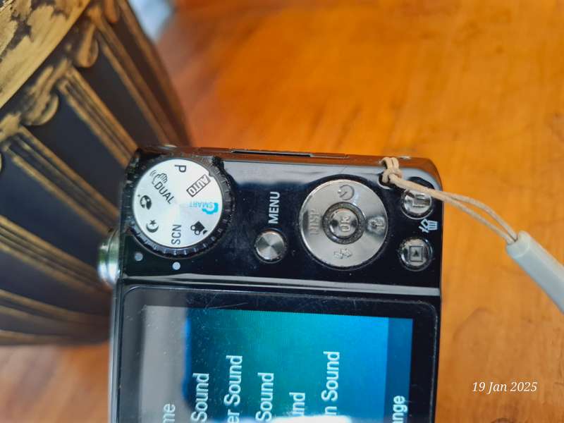 Samsung PL150 digital camera