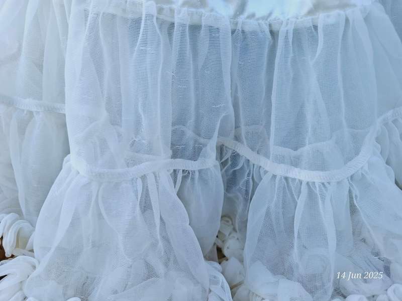 Smitten flutter white tutu
