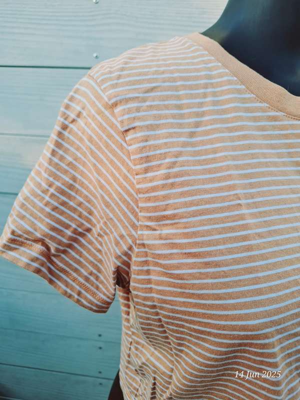 Cotton on the baby tee - XL